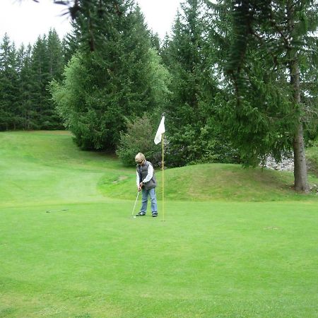 Haut De Chalet 6 P Villard De Lans 外观 照片