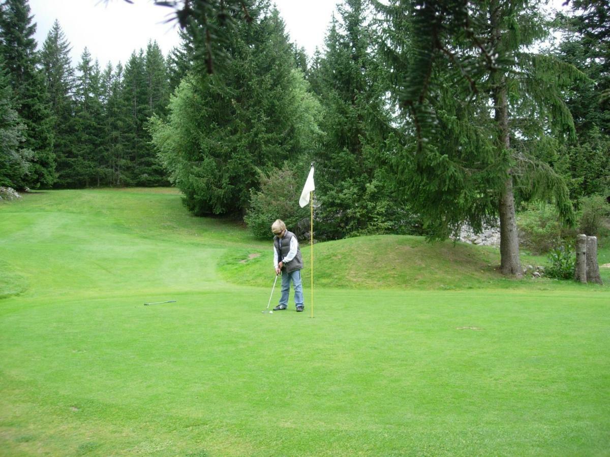 Haut De Chalet 6 P Villard De Lans 外观 照片